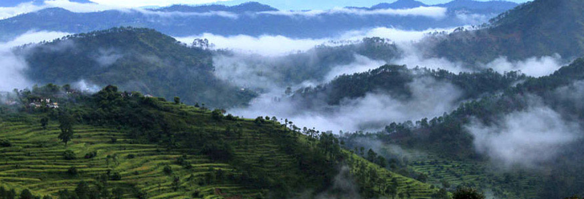 Nainital Haridwar