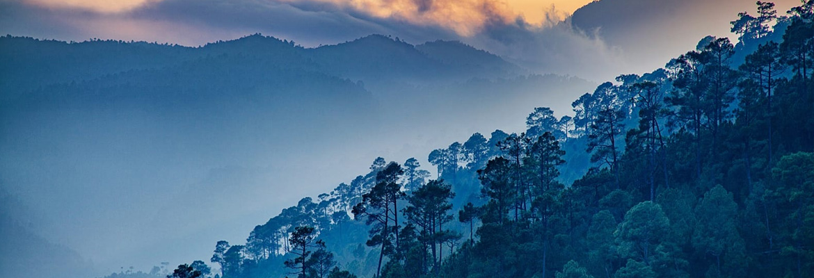 Nainital Haridwar